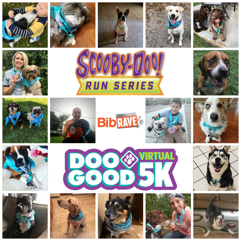 All the BibRave Pro pups that ran in the Scooby Doo Run Series.