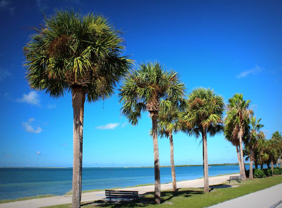 View from the Dunedin Causeway trail.