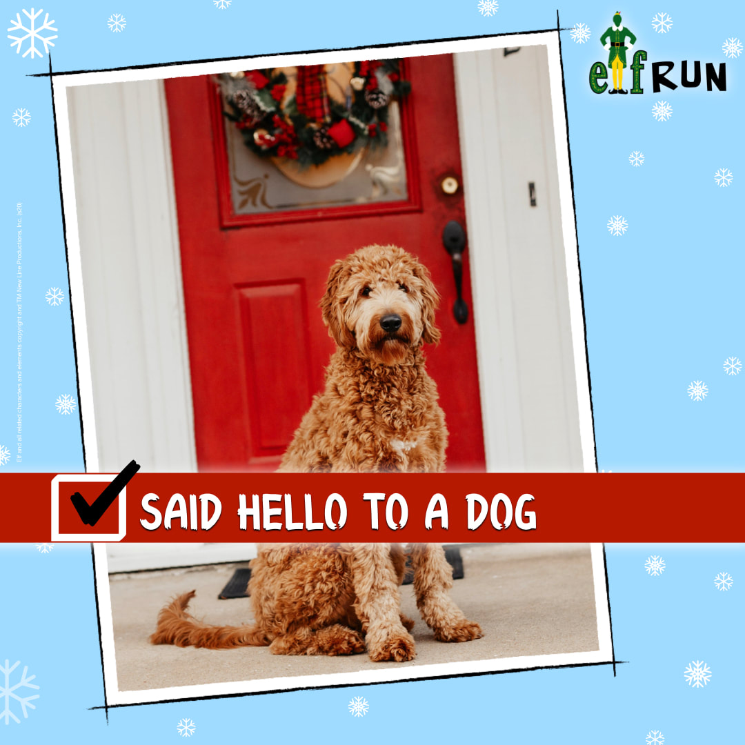 Labradoodle in front of a house at Christmas.