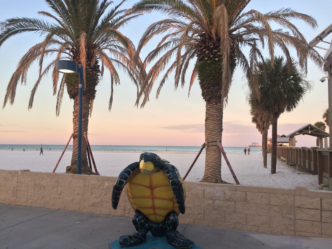 A turtle sculpture greets beachgoers at Pier 60 on Clearwater Beach, FL.