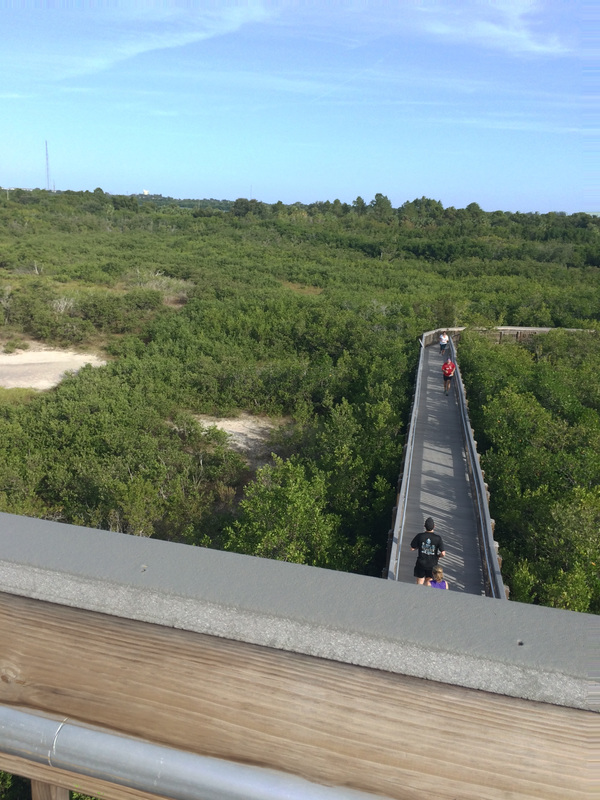 View of Weedon Island Preserve in St Petersburg, FL from the observation tower.