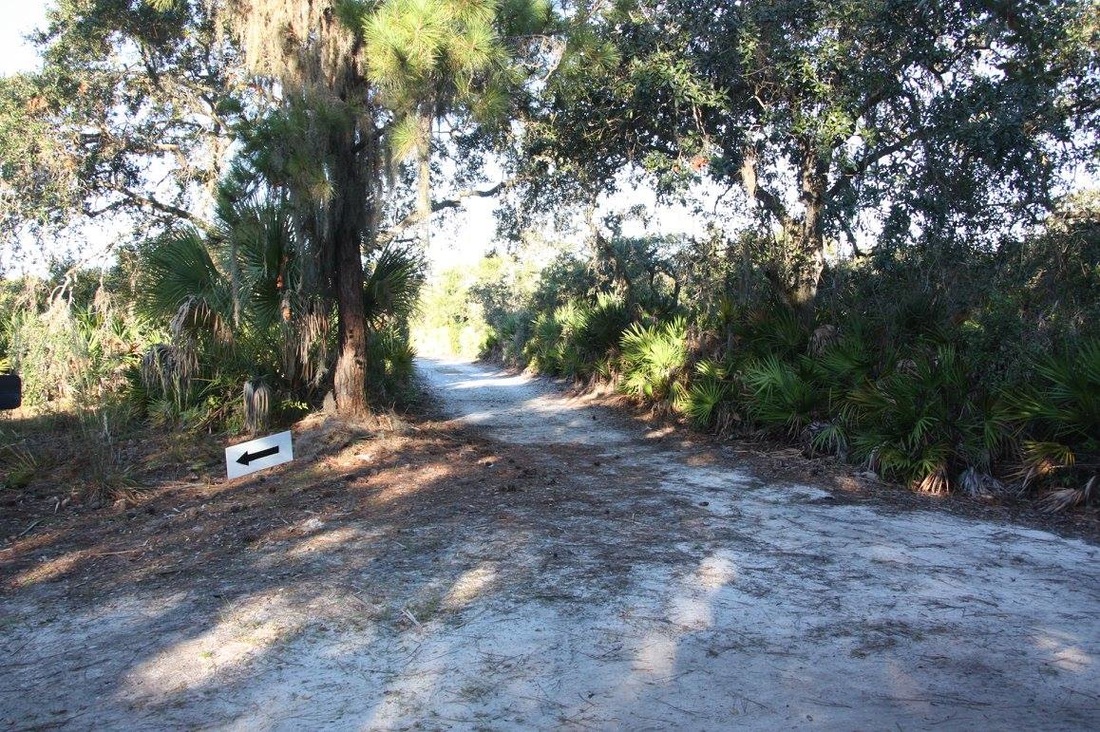 Sandy trail at Weedon Island Preserve in St Petersburg, FL