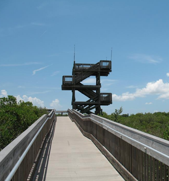 Observation Tower and Boardwalk at Weedon Island Preserve in St. Petersburg.